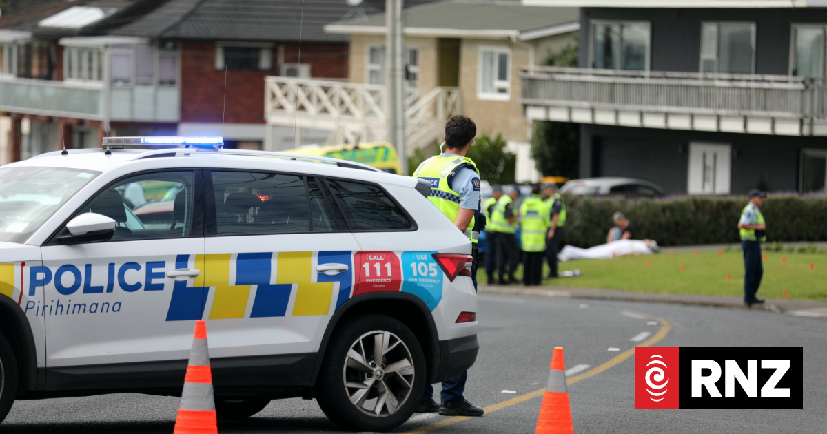 One dead after car crashes into hedge in Auckland's Stanmore Bay