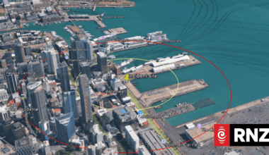 Larvae from exotic mosquito which could carry deadly diseases found in Auckland CBD