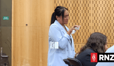 Karla Epiha sentenced after running over child on pedestrian crossing