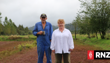 Country Life: Crunchy, crispy cranberries