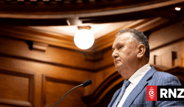 National, ACT MPs call out Jones' 'butter chicken' comments as racist and 'lame dad jokes'
