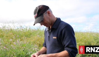 Country Life: Why Canterbury's crop farmers are leaving the industry