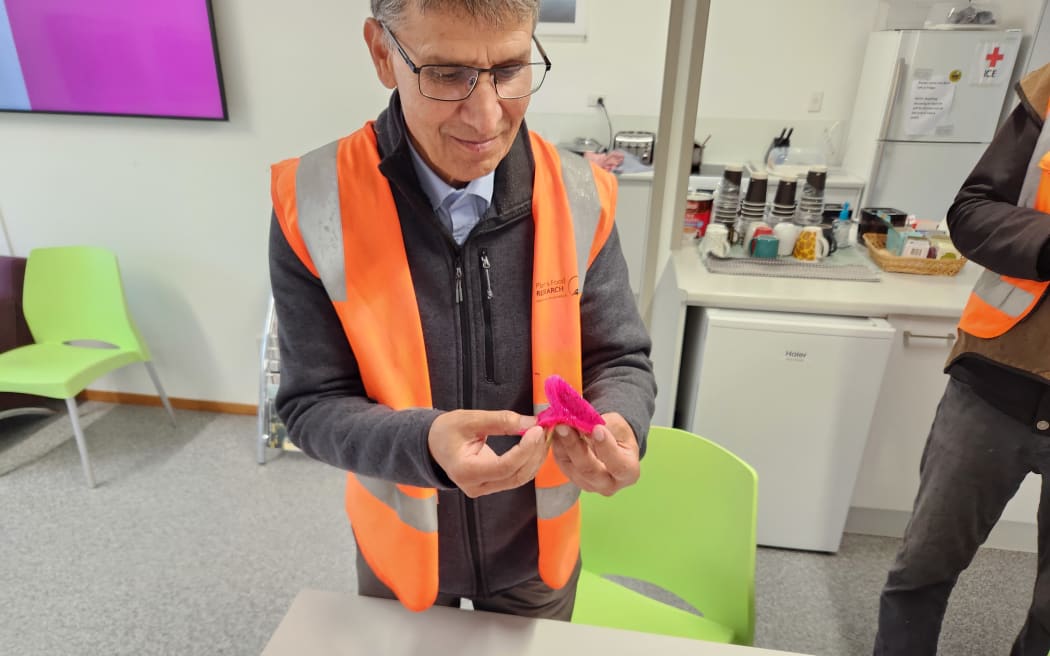 Satish Kumar peeling a piece of dragon fruit