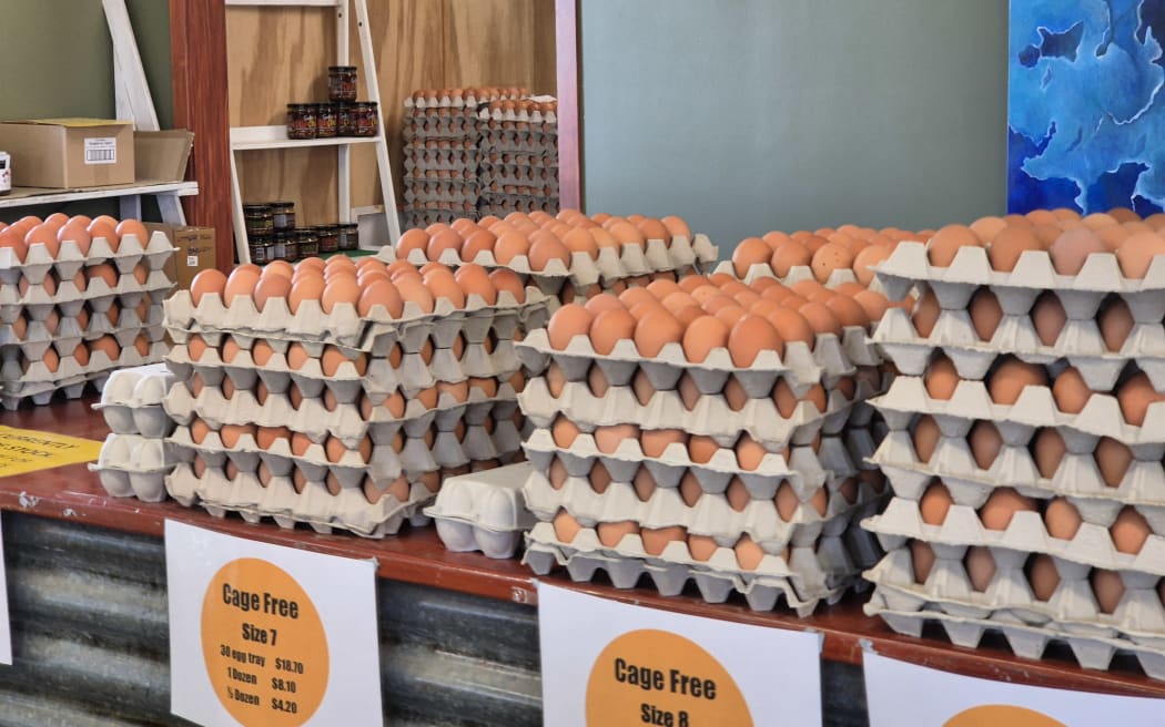 Bennik's Eggs has been helping lead the industry for over 70 years across three generations.