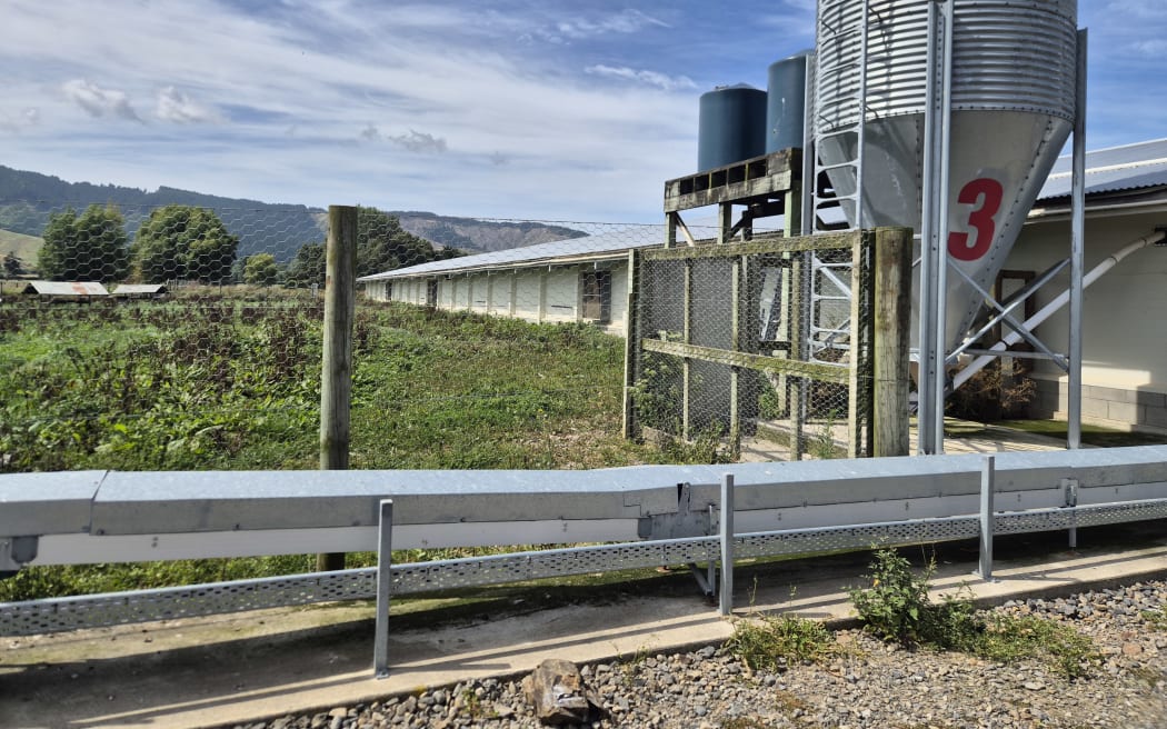 An automated chute system means by the time you pick up a carton of eggs, you are the first person to touch them.