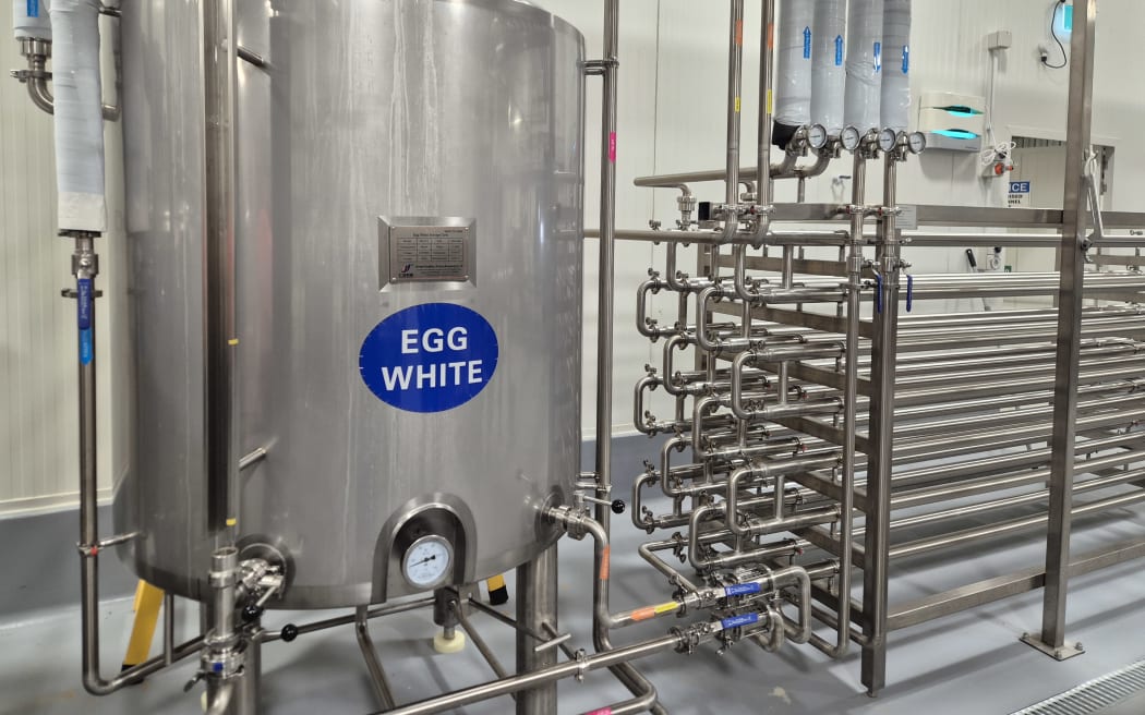 The eggs can be sorted and separated into egg whites and yolks.