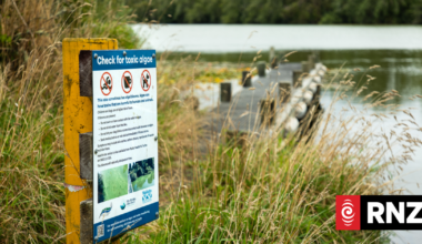 Toxic blooms and invasive clams are forcing a rethink on the Waikato River
