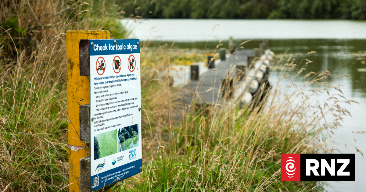 Toxic blooms and invasive clams are forcing a rethink on the Waikato River