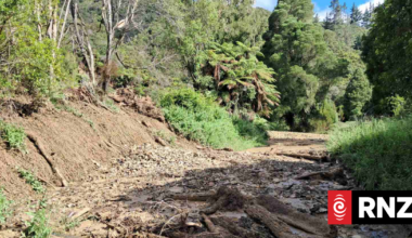 State Highway 2 blocked by slip in the Waioweka Gorge