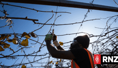 Government reviews RSE visa scheme, report calls for reform