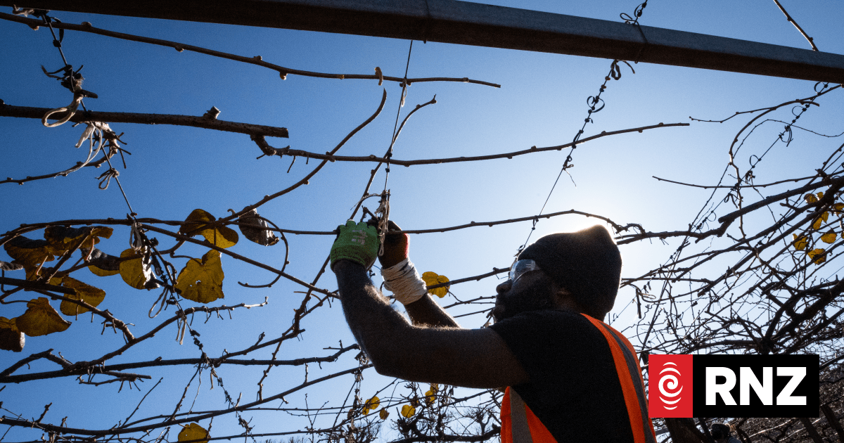 Government reviews RSE visa scheme, report calls for reform