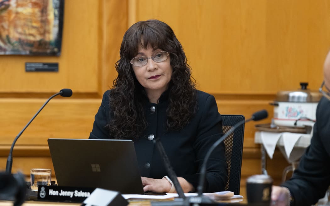 Labour MP Jenny Salesa in Parliament's Regulations Review Committee.