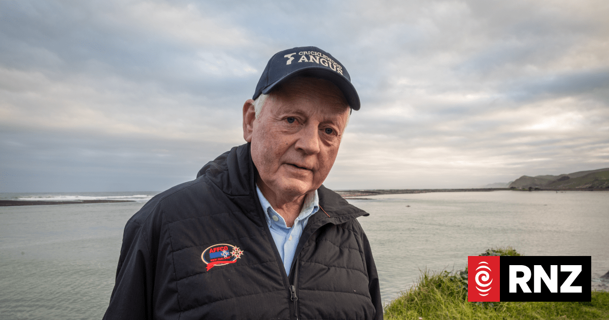 Hawke’s Bay mayor says he refused state of emergency for Cyclone Vaianu, calls response ‘woke’