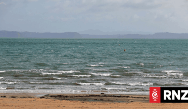Kayakers rescued from rough waters off Auckland beach