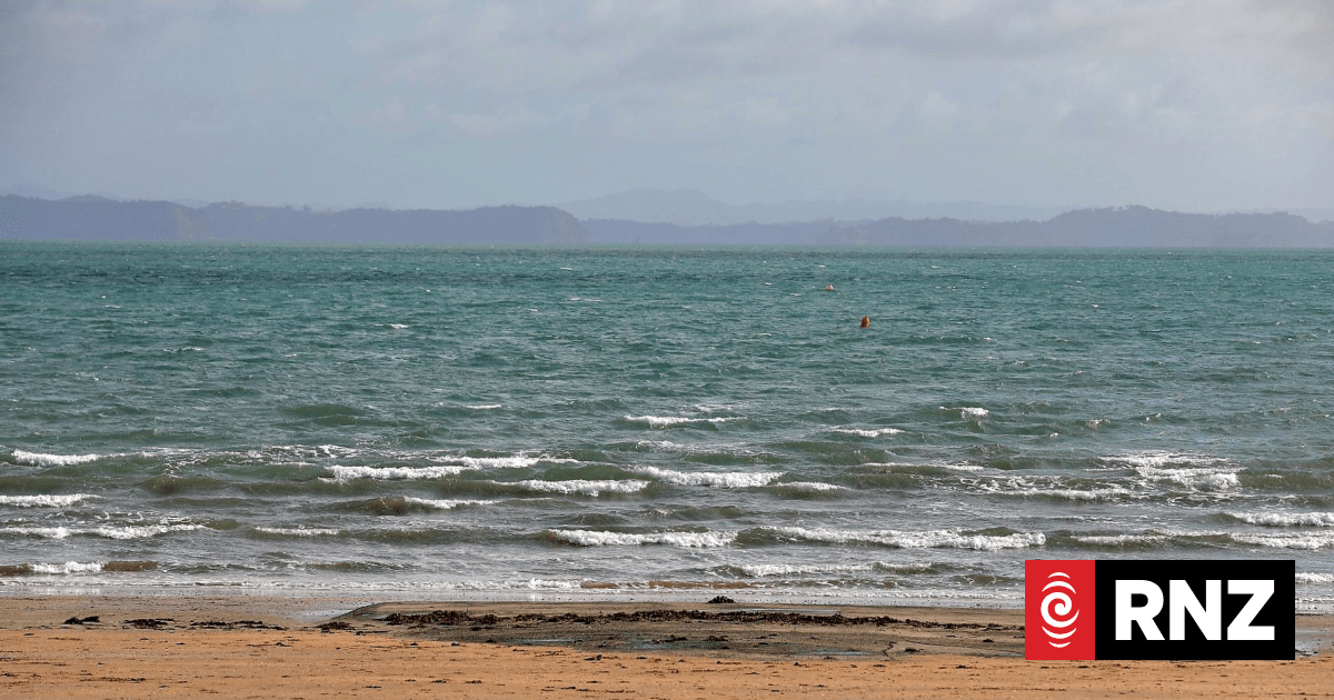 Kayakers rescued from rough waters off Auckland beach