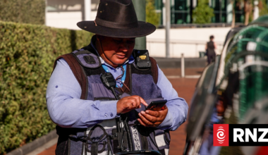 Auckland drivers hit with record parking fines