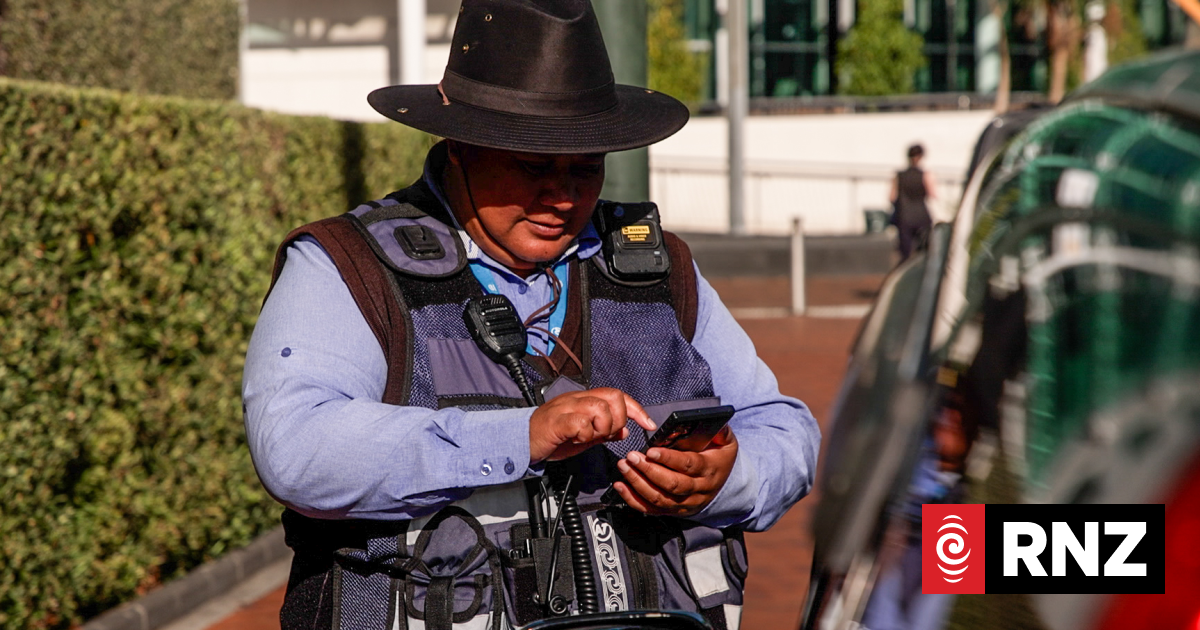 Auckland drivers hit with record parking fines
