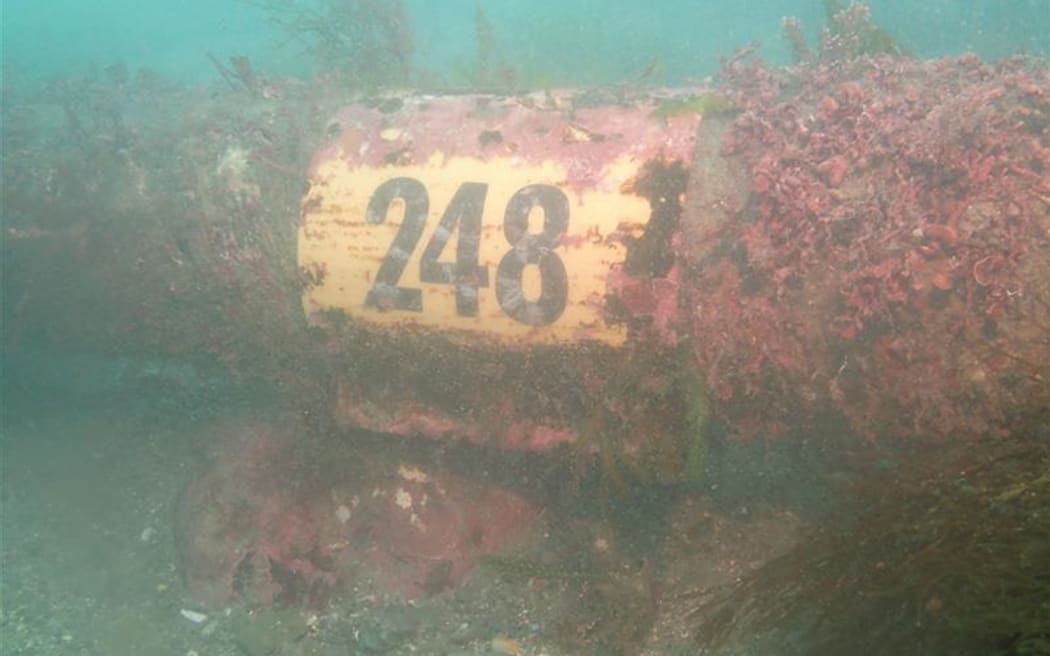 Three power cables and five telecommunications cables run across Cook Strait.