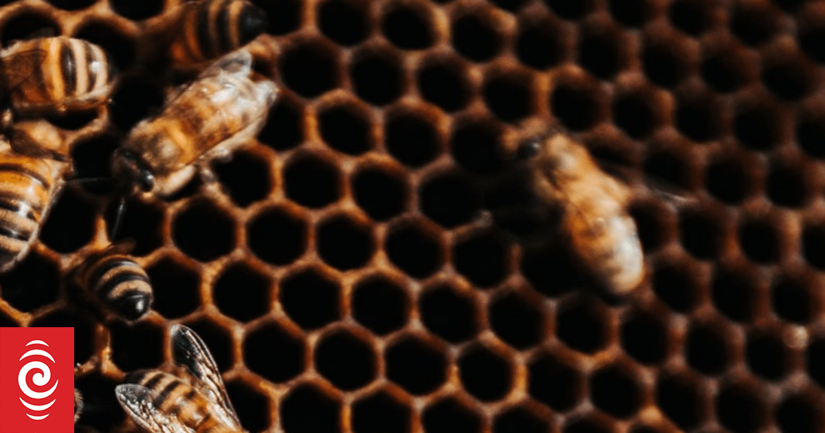 Almost 13 percent of country's bee colonies lost last winter