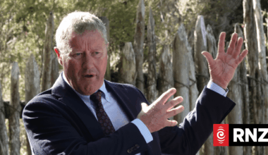 Northland MP hopes local investors will purchase Kaitāia timber mills