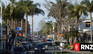 Air New Zealand considering setting up aviation engineering school in Northland, MP says