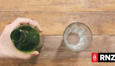 Alexandra early childhood teacher who drank alcohol at work found guilty of misconduct