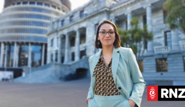 Finance Minister shut down event after TVNZ political editor used alleged homophobic slur