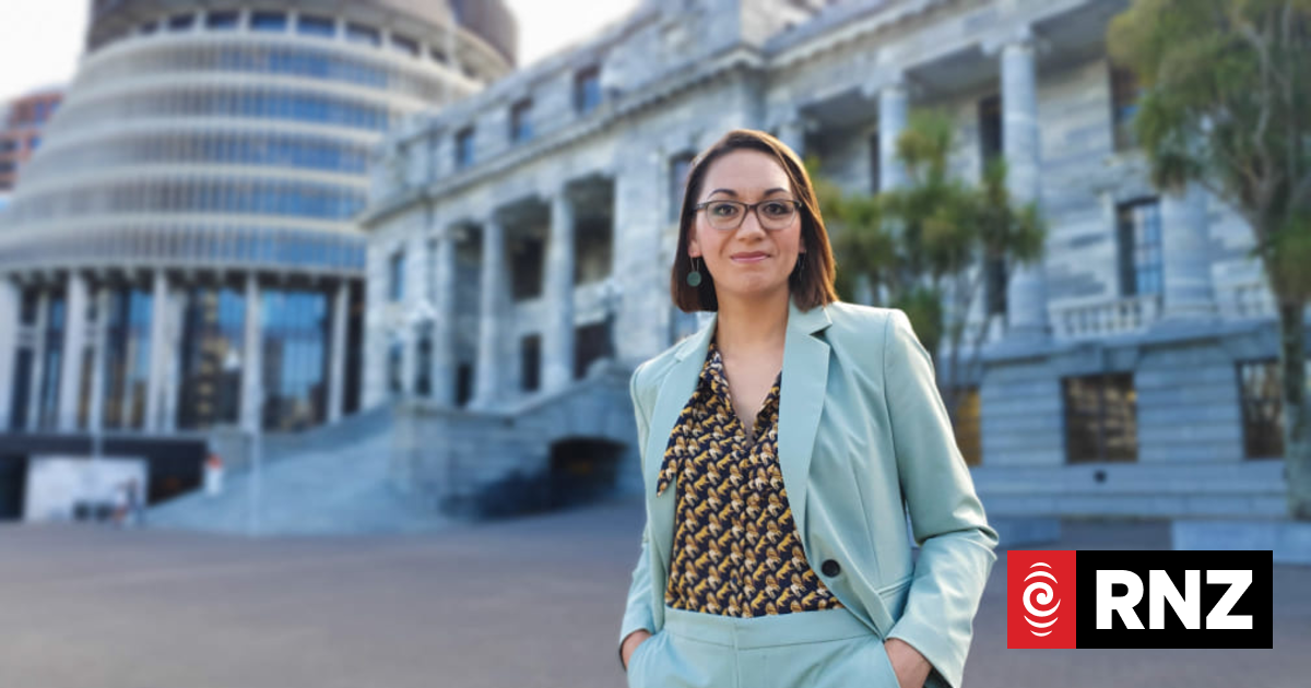 Finance Minister shut down event after TVNZ political editor used alleged homophobic slur