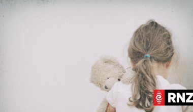 Auckland preschool teachers censured after child left in locked van