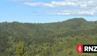 Community group wins court battle against multinational gold mining company