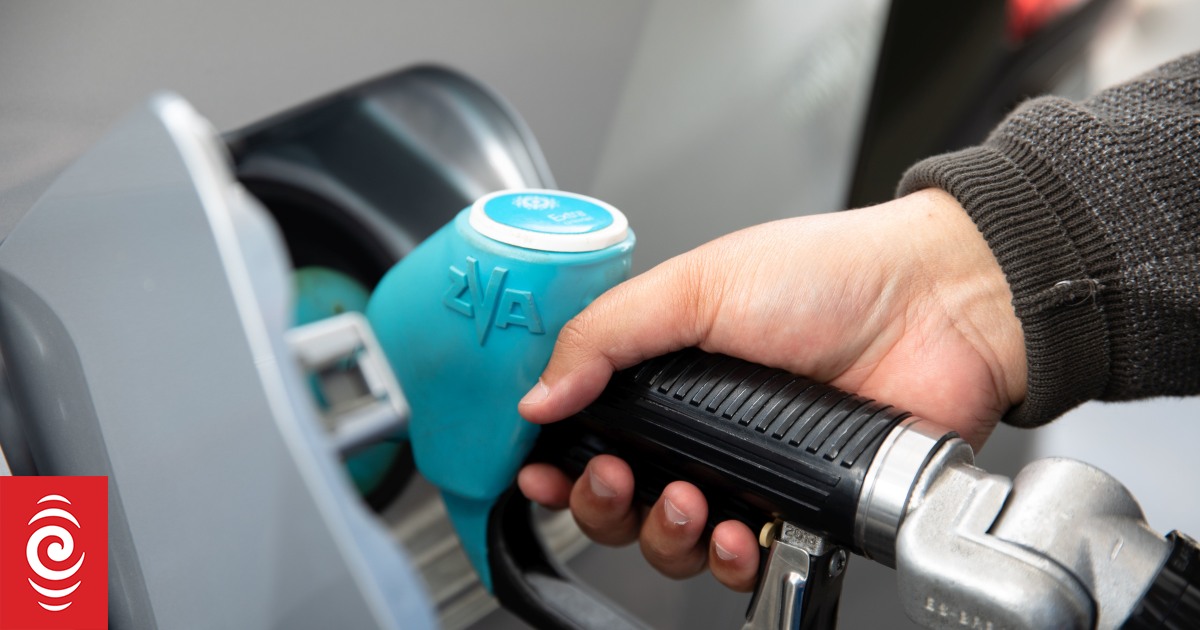 Taxpayers' Union calls for daily fuel stock updates, arguing the data is old