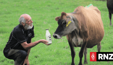 Northland milk company closes down due to soaring fuel prices
