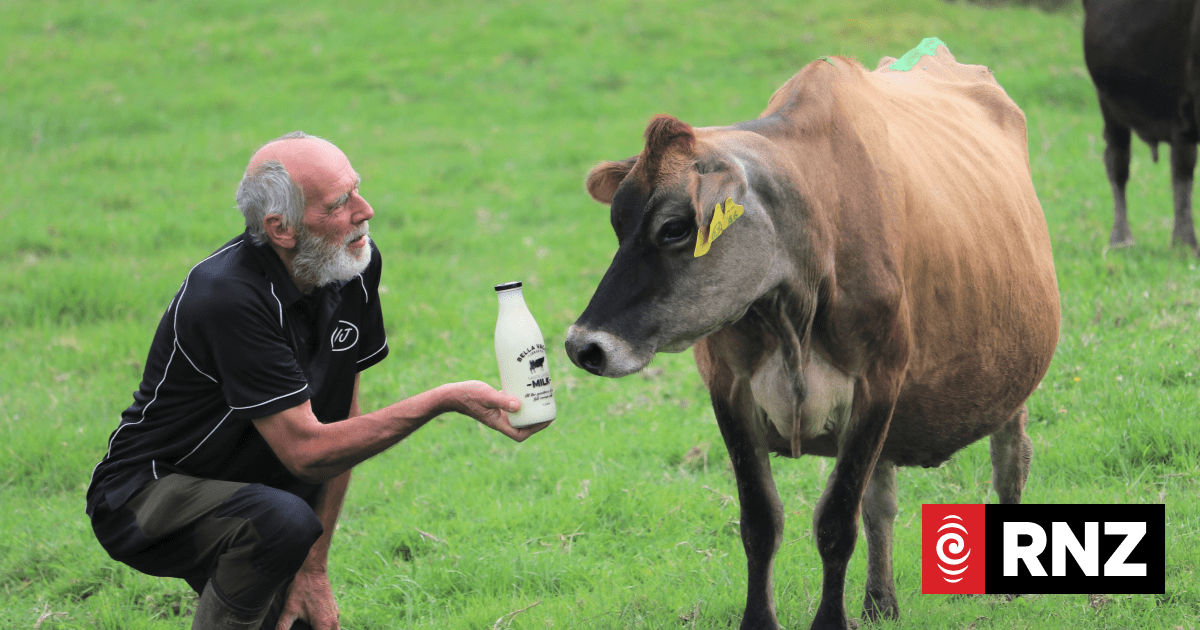 Northland milk company closes down due to soaring fuel prices