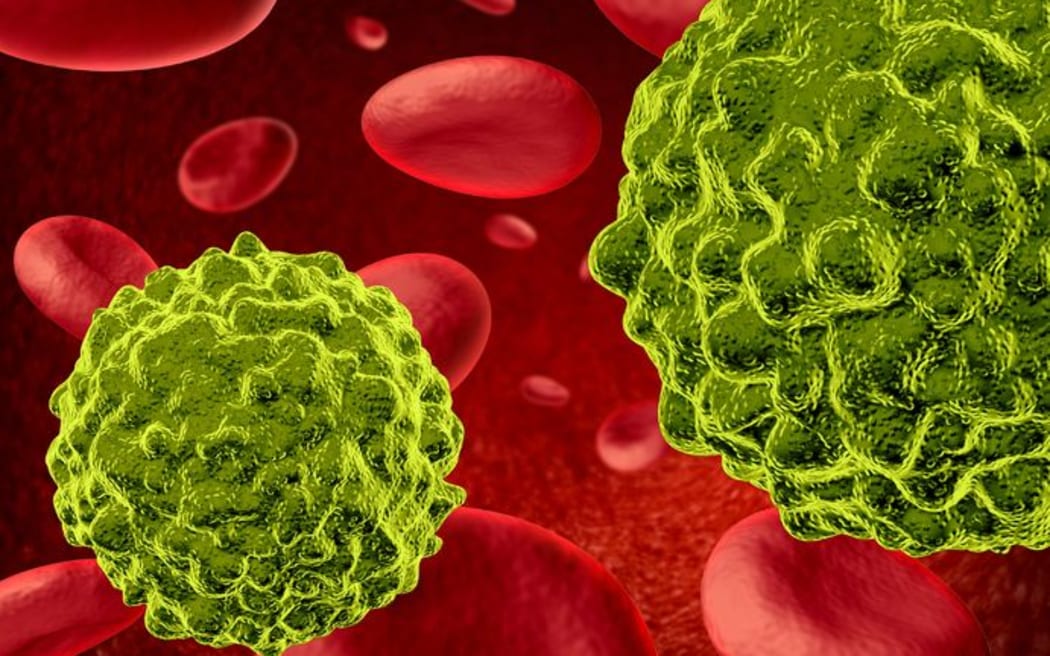 Cancer cells spreading and growing through the body via red blood cells.