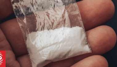 Young Wellington dealer Dillon Levi Havill avoids jail for $200k drug importation scheme