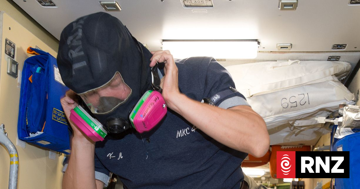 The New Zealand wool that went around the moon