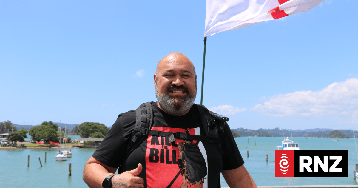 Greens defend Māngere candidate Michel Mulipola for past social media posts