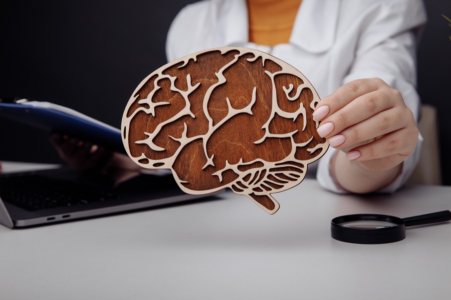 Diagram of a human brain