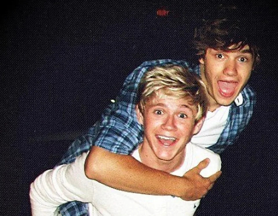 Niall Horan with Liam Payne during their One Direction days (Niall Horan / Instagram)