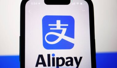 Chinese payment apps raise questions in Japan