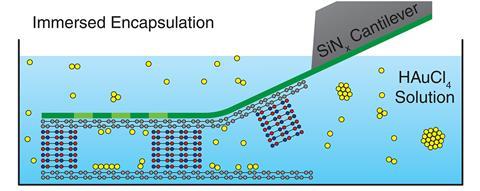 A diagram showing gold in a solution being trapped in cells of a structure using a cantilever