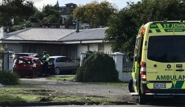 Hamilton fatal crash accused accepts he should have revealed body ‘lock-ups’ when getting licence