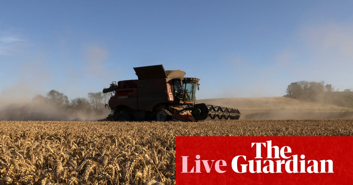 Wheat price heading for biggest jump in two months as Iran war threatens to drive food security higher – business live | Business
