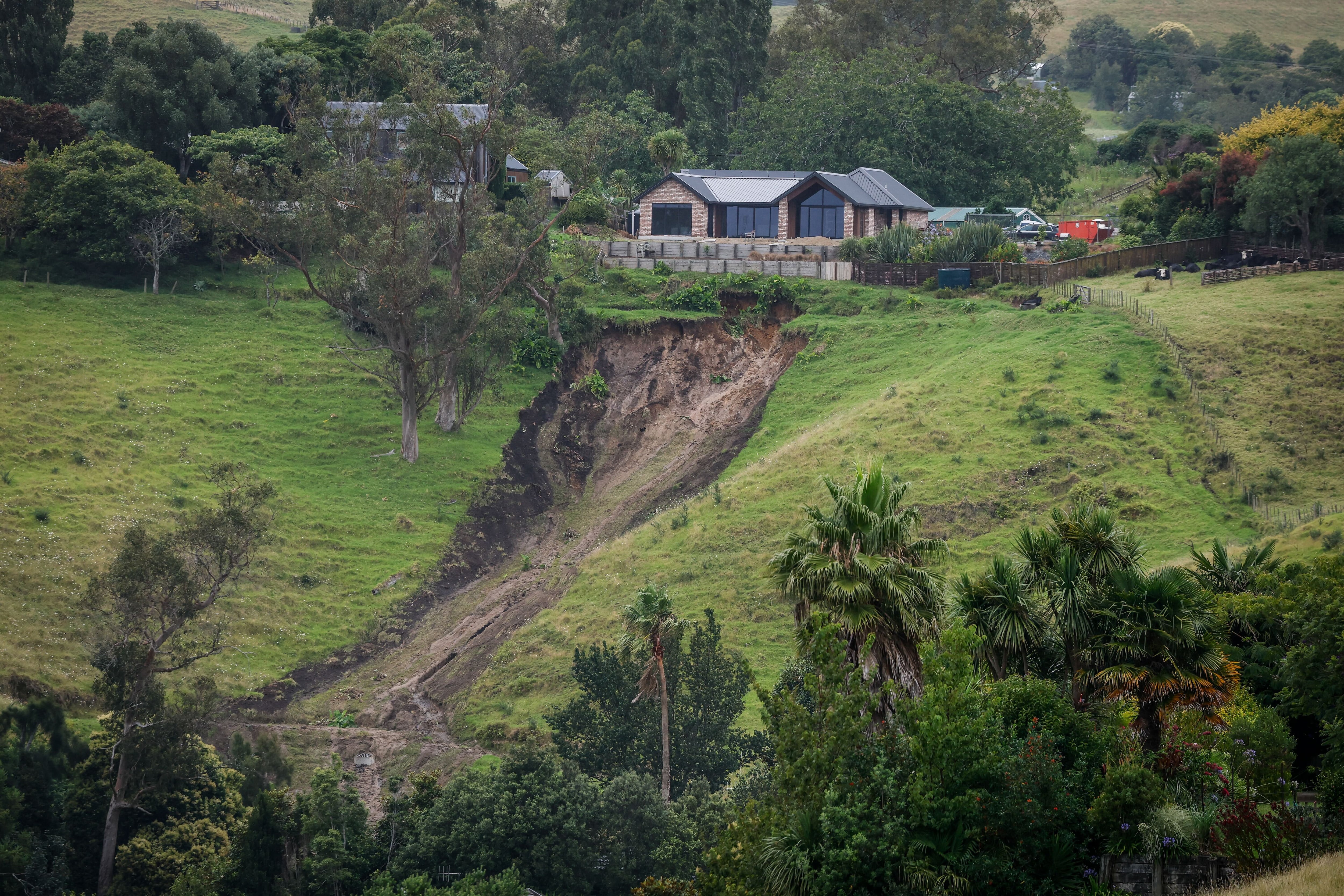 A slip in the Tauranga suburb of Welcome Bay, viewed from Te Auhi Reserve, after January's storm. Photo / Michael Craig
