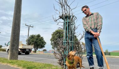 Whanganui resident Jack Mitchell-Anyon calls for the removal of caged council plants