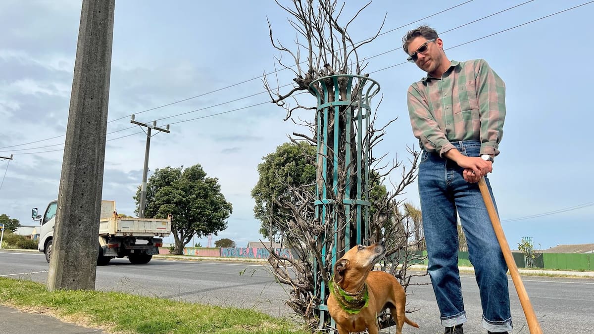Whanganui resident Jack Mitchell-Anyon calls for the removal of caged council plants