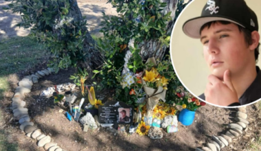 Tyler Porter’s mother makes plea after son’s memorial items allegedly taken