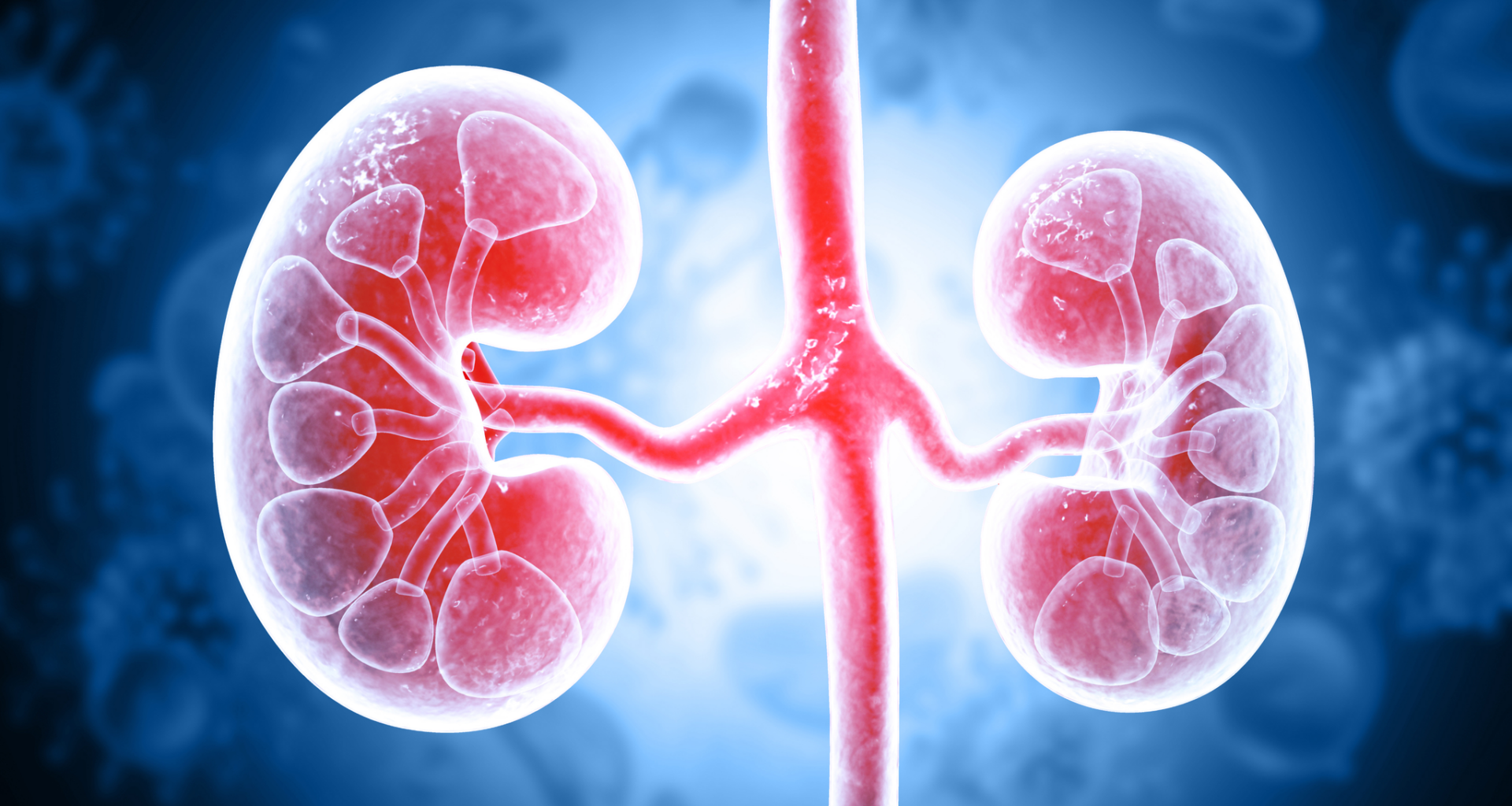 Immune linked high risk diabetic kidney disease found