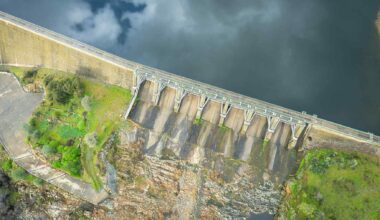 Amazon dam leads to fish vanishing