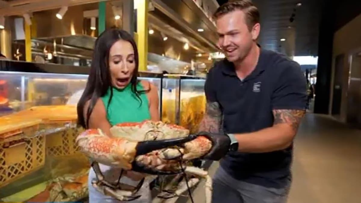 ‘Let me go!’: Today weather reporter hospitalised after painful on-air gaffe with crab